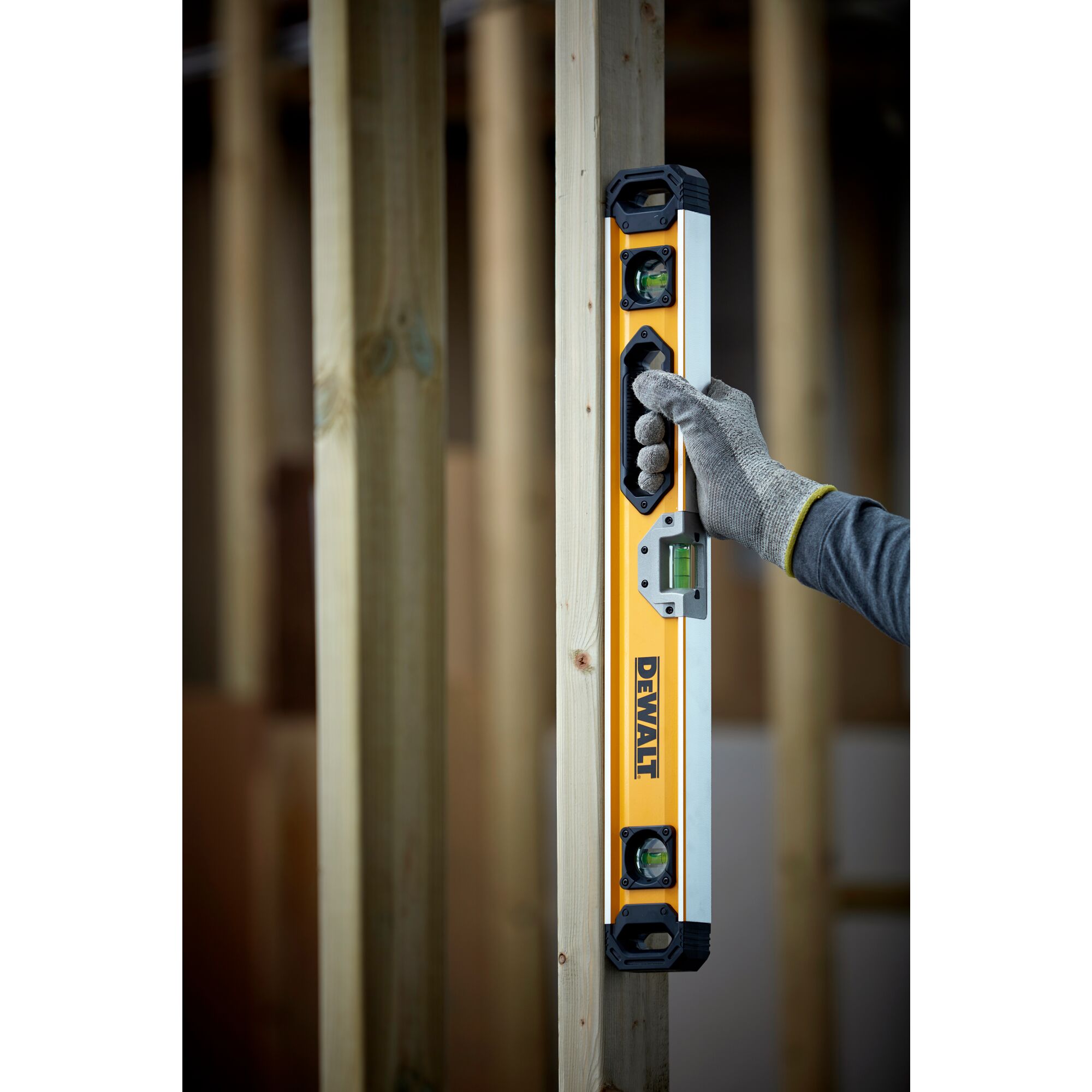 Spirit deals level dewalt